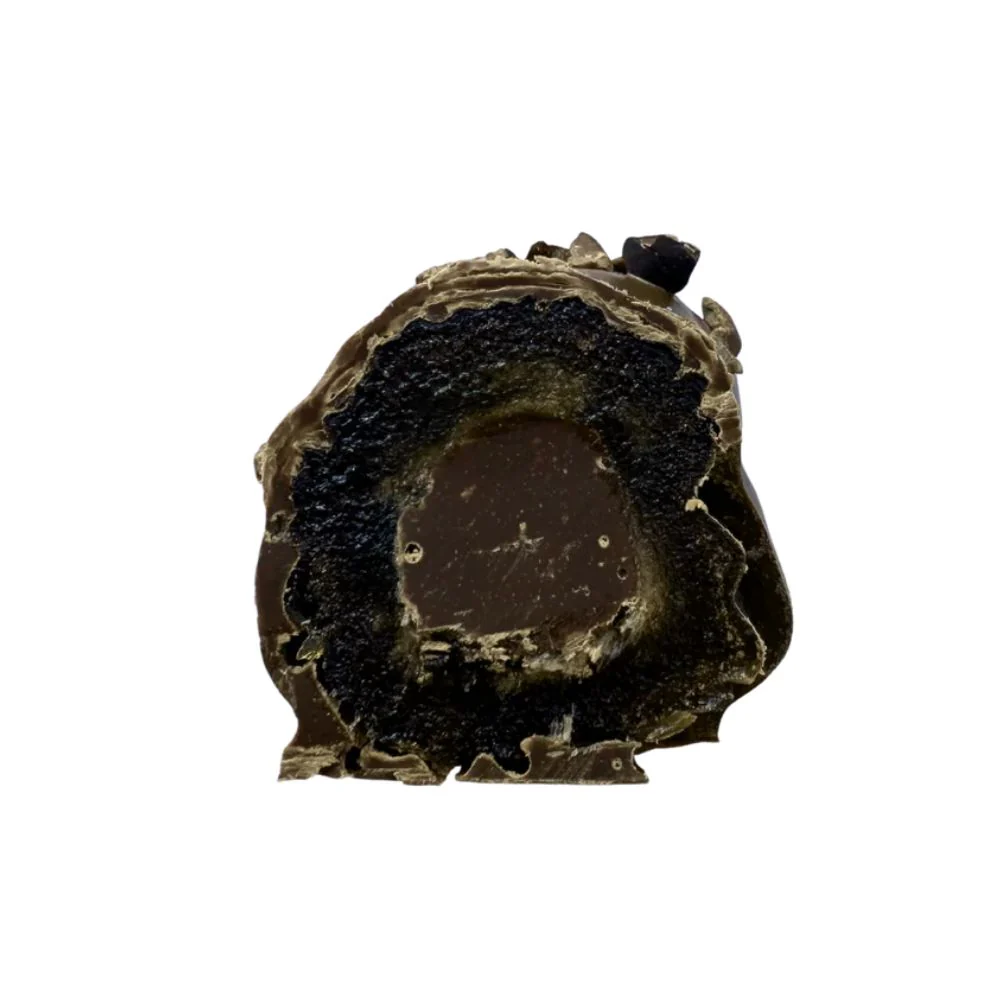 Cool Medjool Dates Twin Pack - Double Chocolate - Image 3