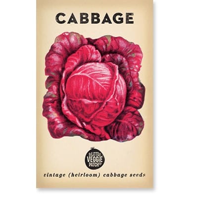 Little Veggie Patch Heirloom Seeds - Cabbage (Savoy Purple)