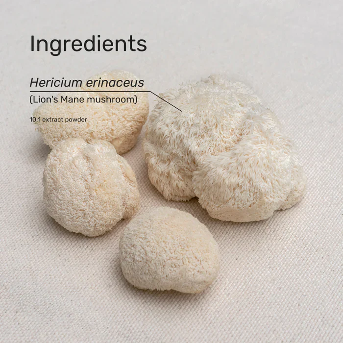 SuperFeast Lion's Mane Extract 100g - Brain & Nerve Protection - Image 2