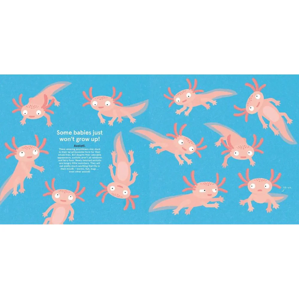 Wild About Babies - Image 3